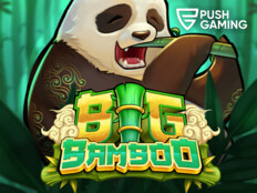 Casino bingo slots1